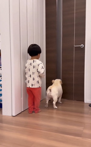 ワンコの後ろに立つ息子