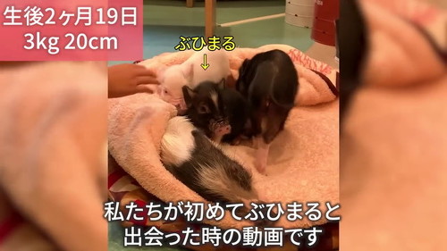 2カ月