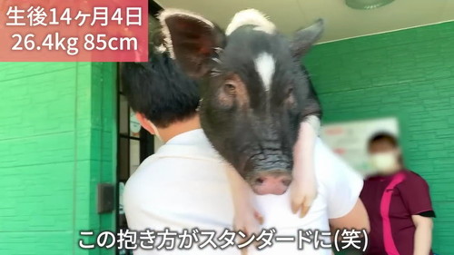 抱き方