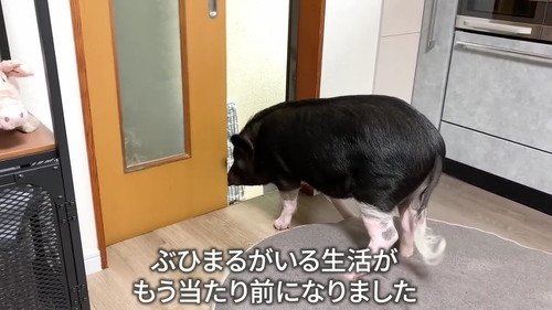 生活