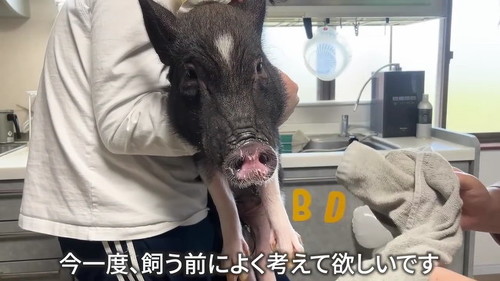 考えて