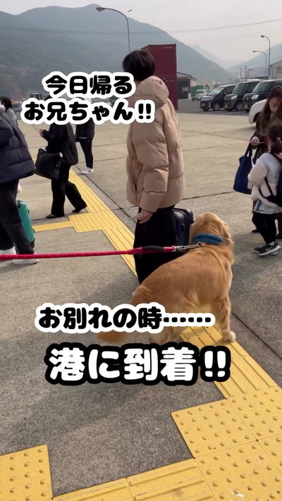 おすすめ