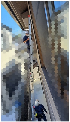 小原正子が鳥害対策の施工を報告