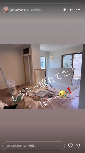 小森純の自宅リフォーム