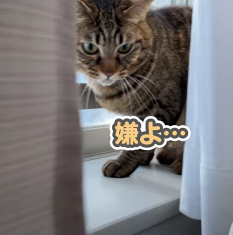 嫌よテロップ