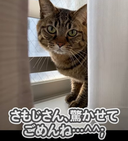 さもじさん驚かせてごめんねテロップ