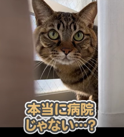 本当に病院じゃないテロップ