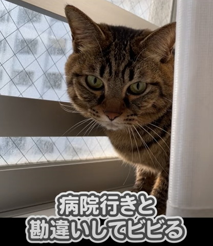病院とカン違いしてビビるテロップ