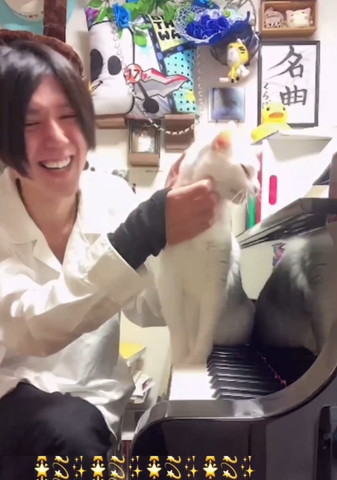 ピアノの上でなでられてる猫