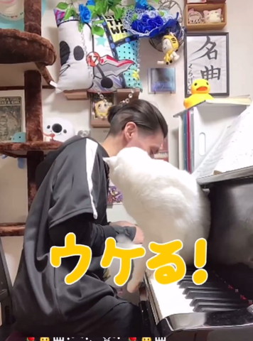 ウケるテロップ