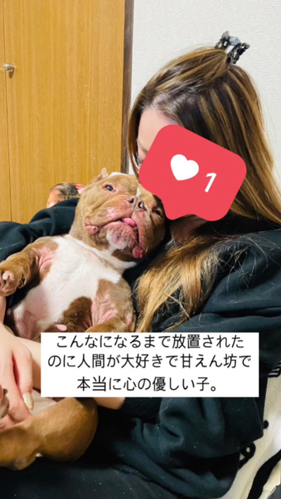 こんなになるまで