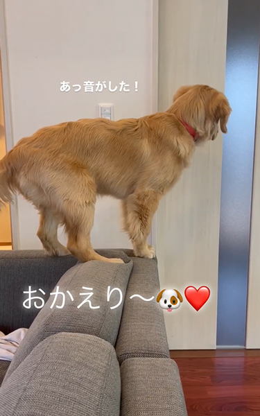 息子さんのお出迎え