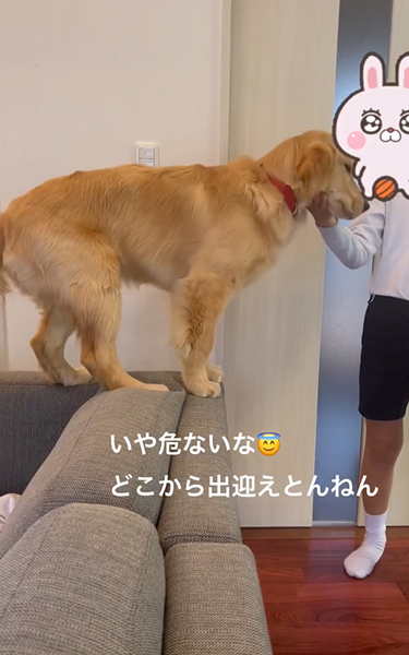 息子さんのお出迎え