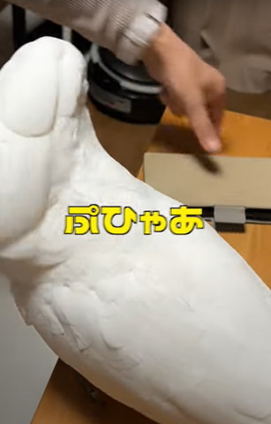 ぷひゃあテロップ