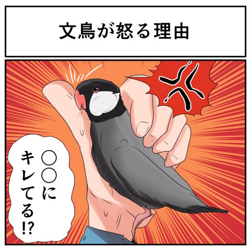 その視点はなかった