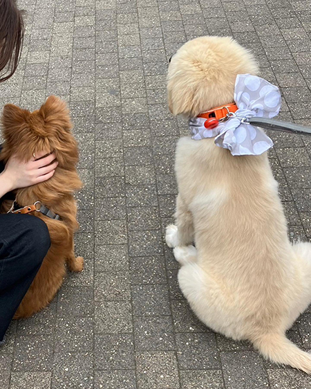 きょうだいの後ろ姿