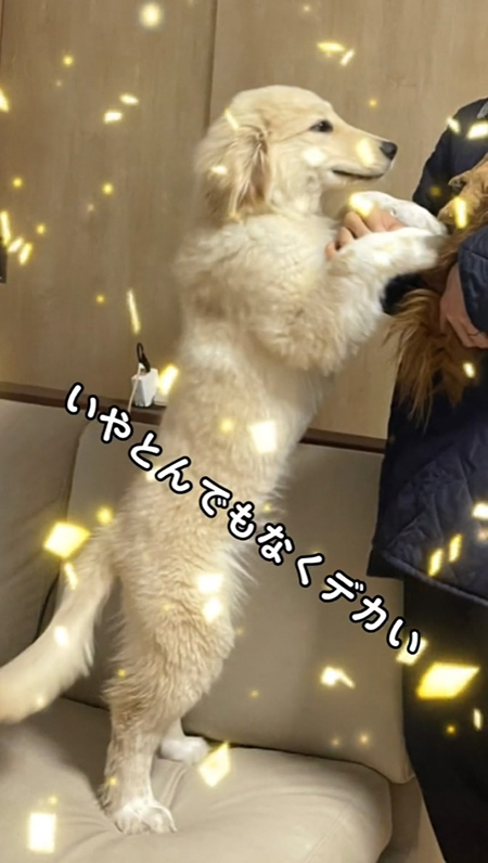 いやとんでもなく