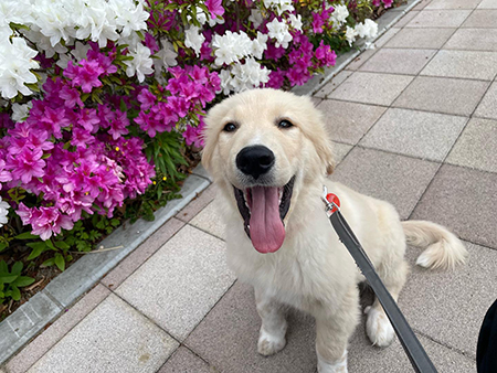 にこにこぽん太くん