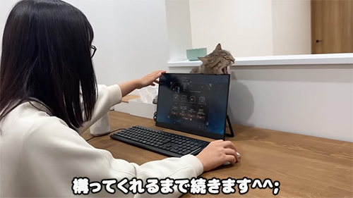 構ってくれるまで