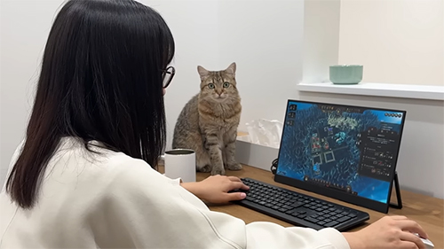 びっくり顔しまちゃん