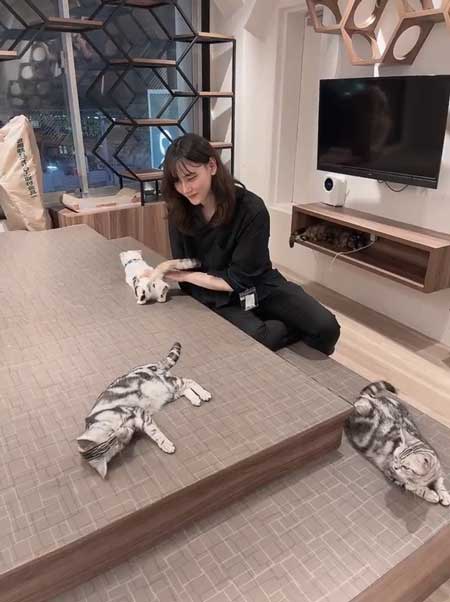 猫のお尻をポンポン