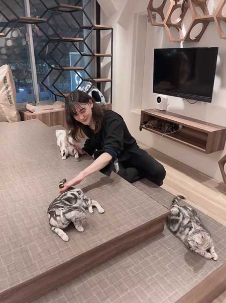 猫のお尻をポンポン