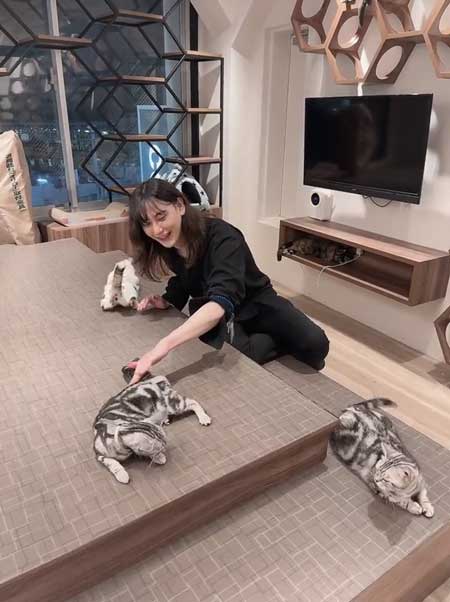 猫のお尻をポンポン