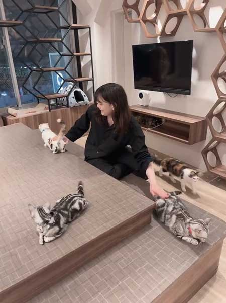 猫のお尻をポンポン