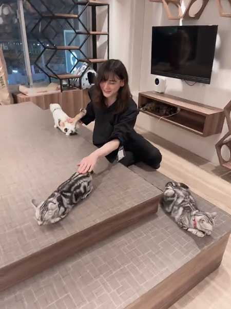 猫のお尻をポンポン