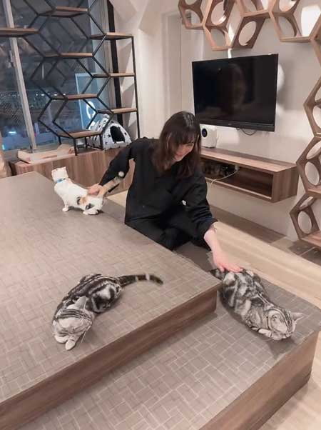 猫のお尻をポンポン