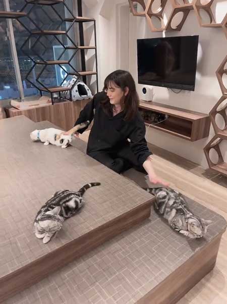 猫のお尻をポンポン