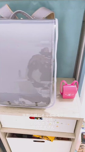 「本物の隣にそっとオモチャを置く孫」