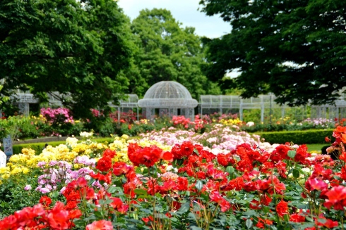 春のローズフェスタ2023