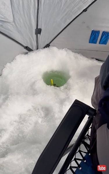 釣り穴から現れるマスクラット