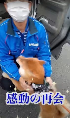 感動の再会テロップ