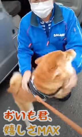 おいもくんうれしさMAXテロップ