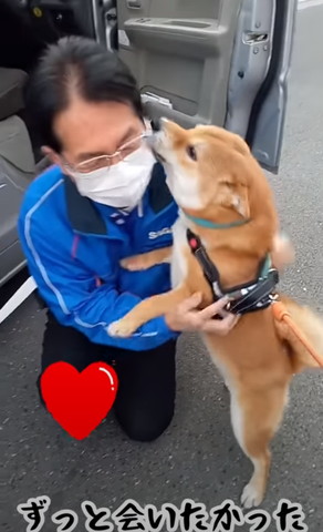 ずっと会いたかったテロップ