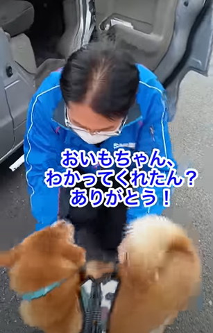 おいもちゃん分かってくれたんテロップ