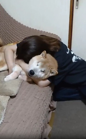 ワンコにハグする女性少し遠くから正面