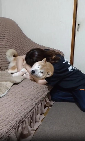 ワンコにハグする女性遠くから
