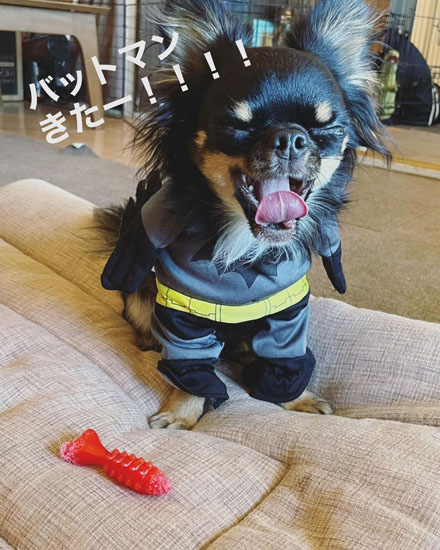 バットマンになるうにくん