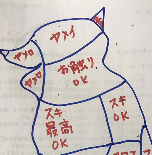 取扱説明書上半身