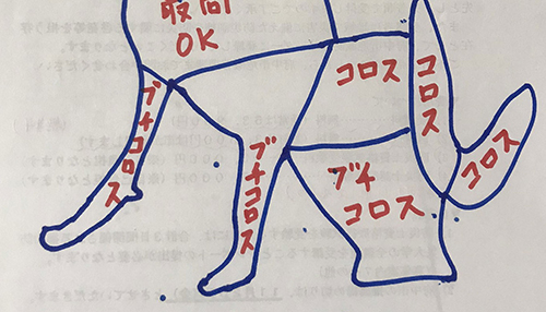 取扱説明書下半身