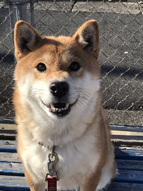 笑顔のカナちん