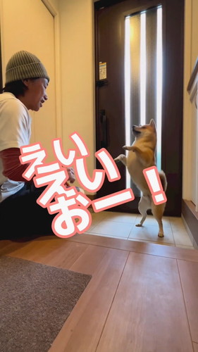 日本語を理解しているとんくん