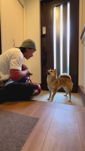 日本語を理解しているとんくん