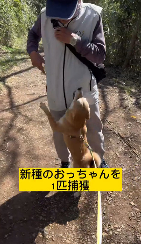 新種のおっちゃん捕獲