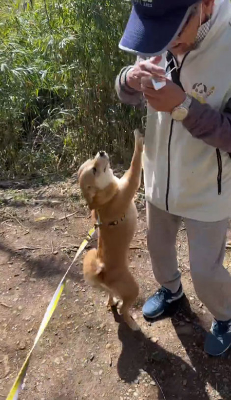 文字なしマメちゃん立ち