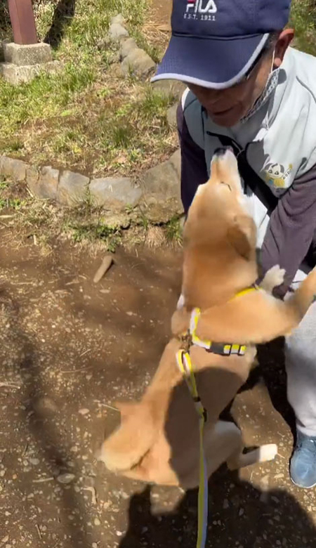 飛びつくマメちゃん