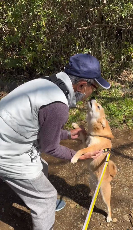 立って口元を狙うマメちゃん